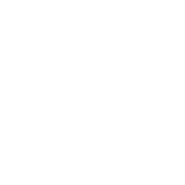 anni-video-2024