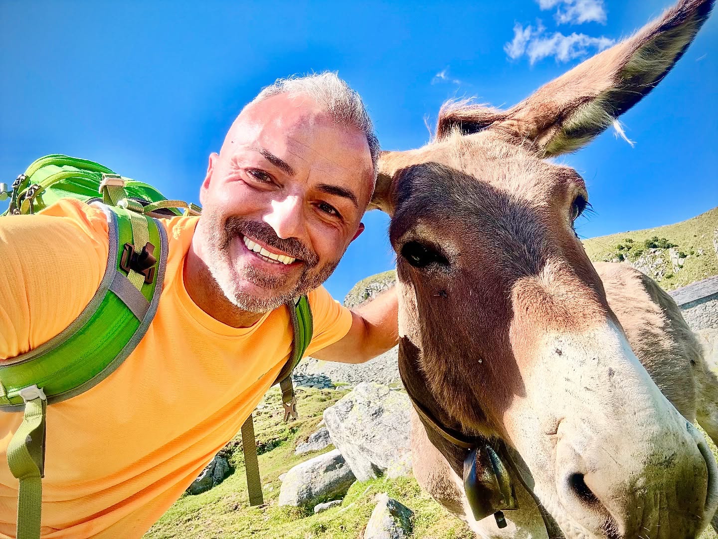Se solo avessi il coraggio di raccontarvi tutte le caxxate che ho fatto in 46 anni, capireste che il signore qui di fianco a me ha il codice fiscale ed io sono il suo animale preferito !!!!
Ricominciamo ?